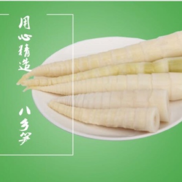 苦笋