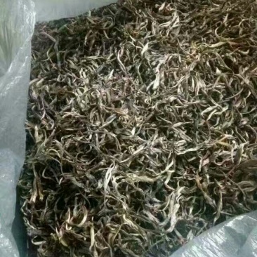 普洱茶二级