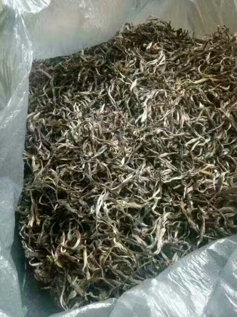 普洱茶二级