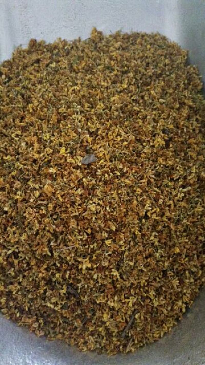 花茶桂花食用桂花药用桂花泡水泡茶