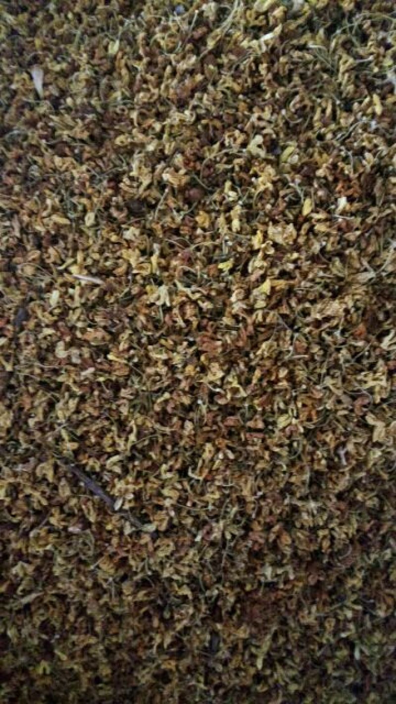 花茶桂花食用桂花药用桂花泡水泡茶