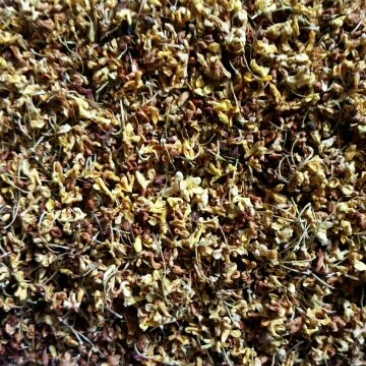 花茶桂花食用桂花药用桂花泡水泡茶