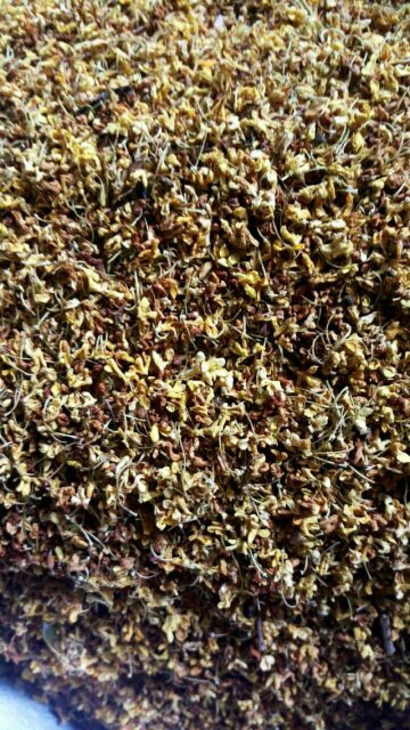 花茶桂花食用桂花药用桂花泡水泡茶