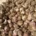 大蒜5~5.5cm鲜蒜，基地发货紫皮蒜，量大从优