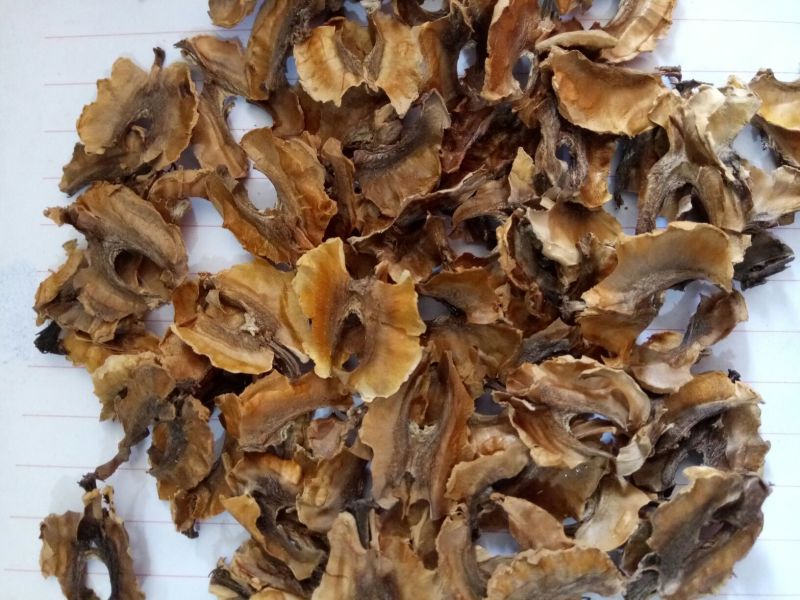 分心木特级新疆干货2斤起包邮量大从优