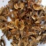 分心木特级新疆干货2斤起包邮量大从优