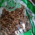 分心木特级新疆干货2斤起包邮量大从优