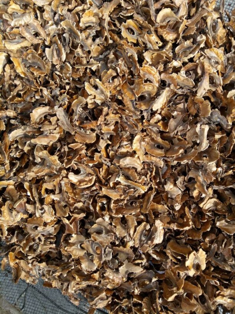 分心木特级新疆干货2斤起包邮量大从优