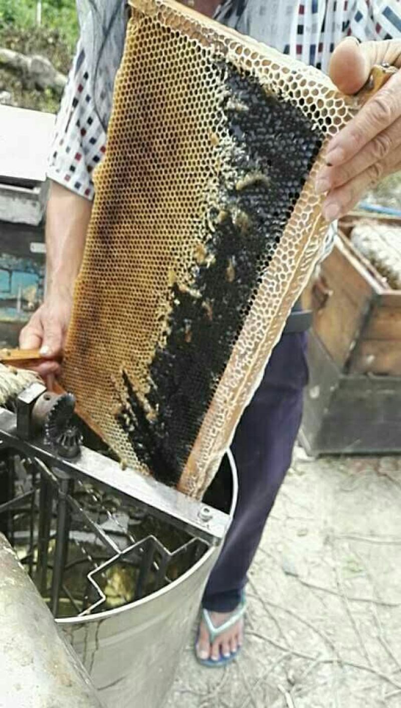 龙眼蜜1斤