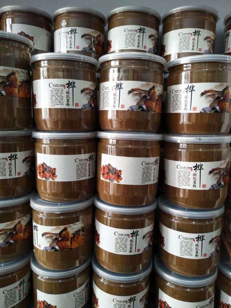 桦褐孔菌