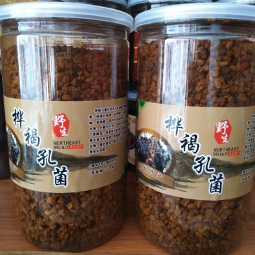 桦褐孔菌