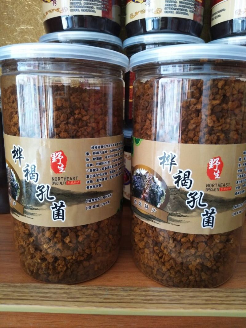 桦褐孔菌