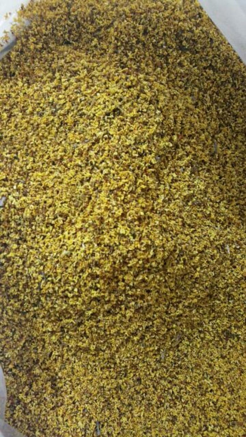 花茶桂花食用桂花药用桂花泡水泡茶