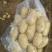 荷兰十五土豆滕州新土豆，精品