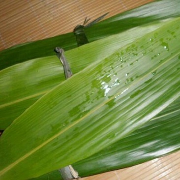 粽叶7cm
