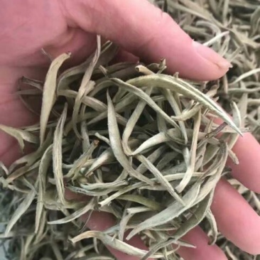 普洱茶一级
