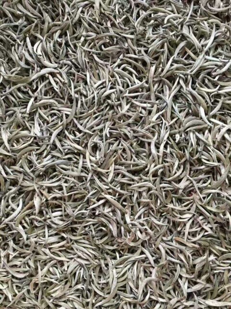 普洱茶一级
