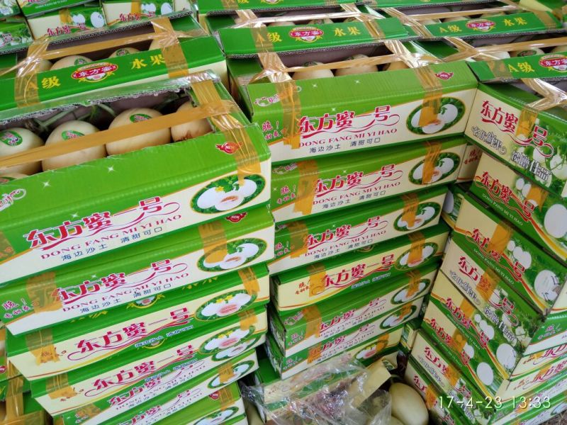 东方密1号1斤以上长圆形山东莘县种植基地