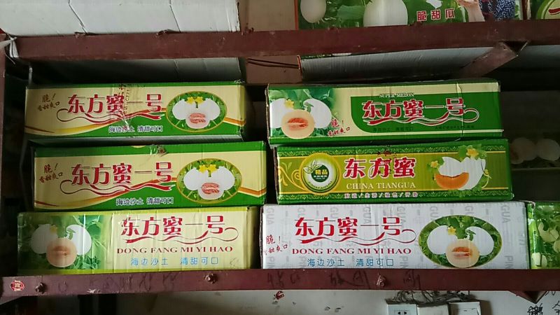 东方蜜1号甜瓜1.5斤以上东方蜜甜瓜基地甜瓜品种齐全