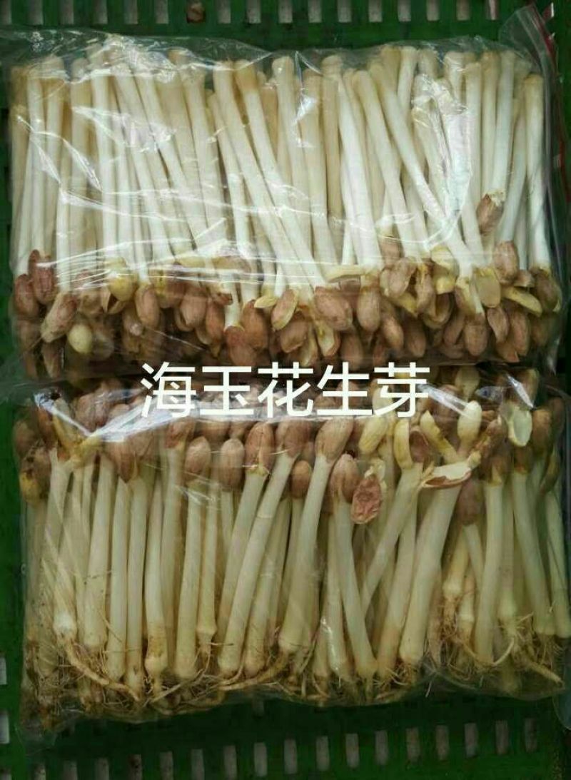 花生芽包装