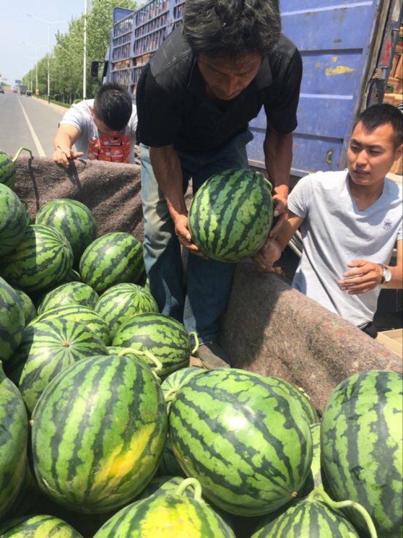 甜王西瓜，西瓜代办，西瓜代发，西瓜产地代办