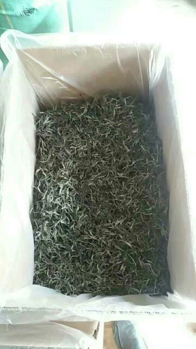 正宗云南古树大树茶，红茶，白茶。