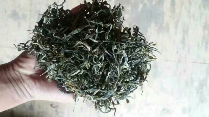 正宗云南古树大树茶，红茶，白茶。