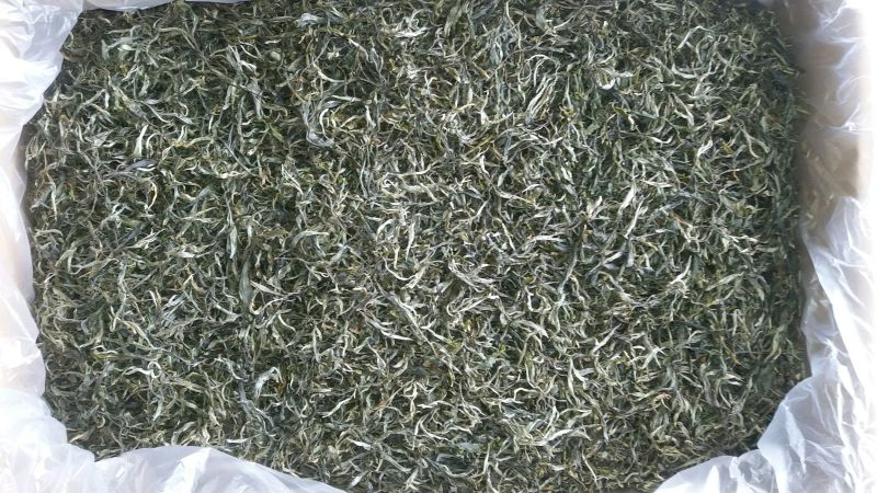 正宗云南古树大树茶，红茶，白茶。