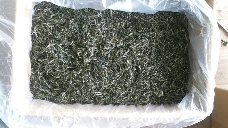 正宗云南古树大树茶，红茶，白茶。