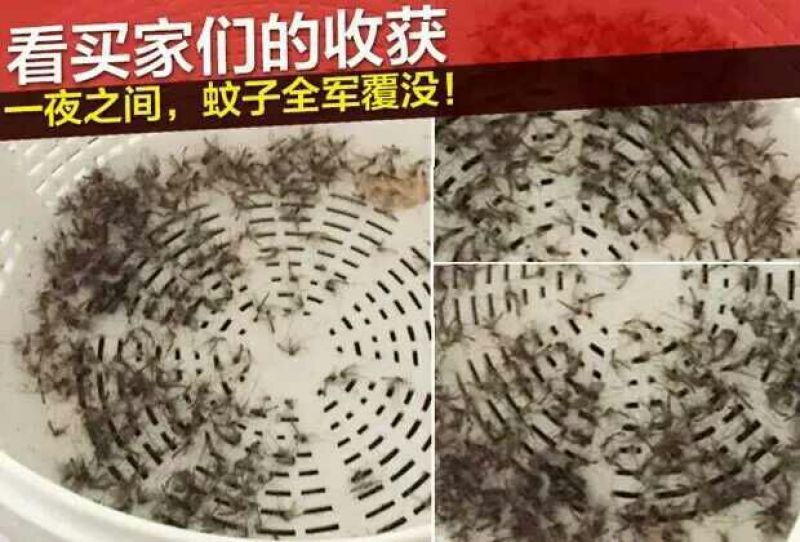 杀虫灯