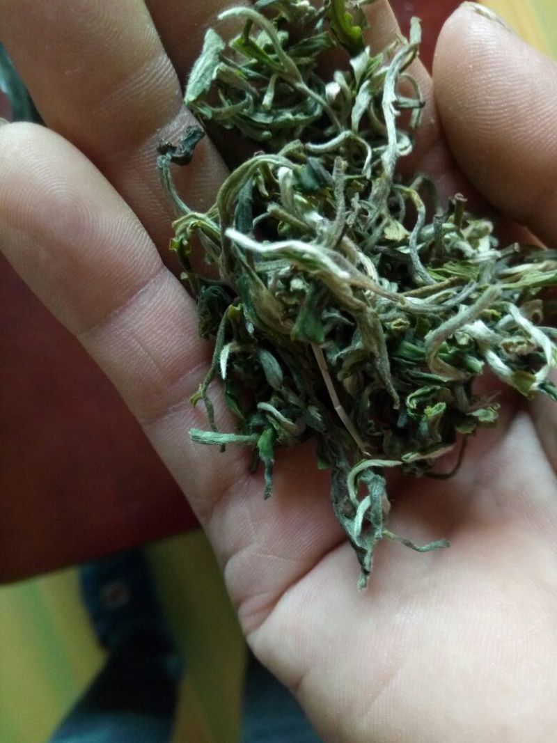 庐山云雾庐，条索紧密，勻均，色泽好，口感纯正