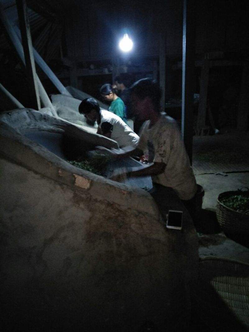 古树普洱茶一级