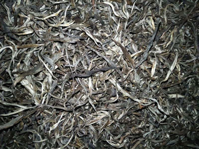 古树普洱茶一级