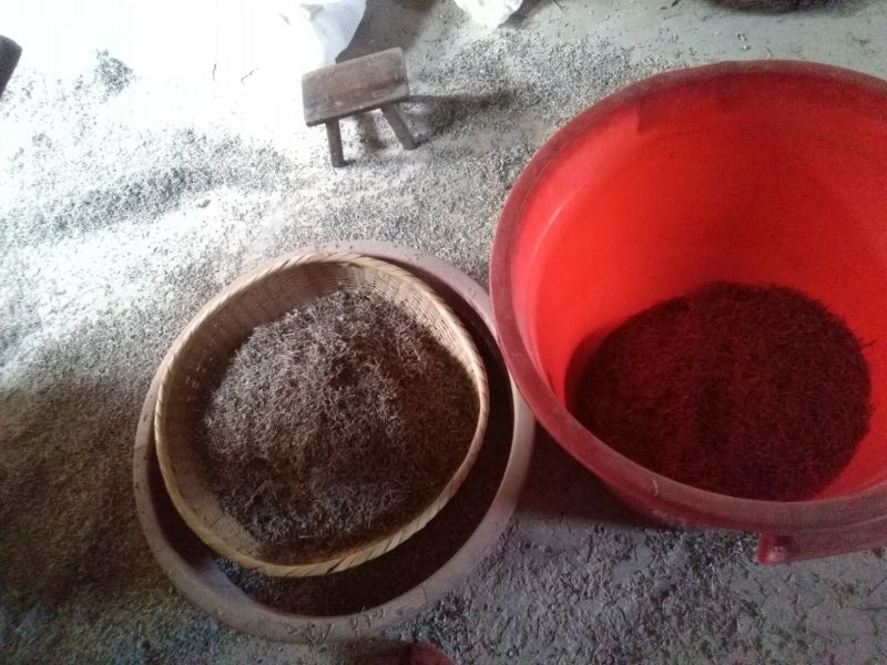 野生藤茶优质保健养生藤茶莓茶