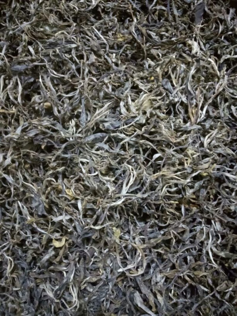 普洱茶特级