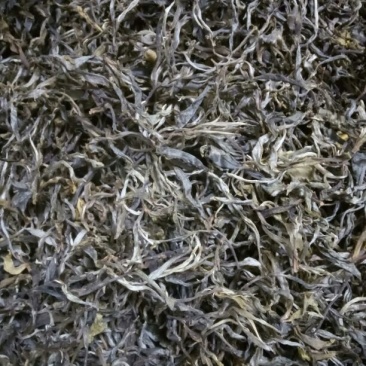 普洱茶特级