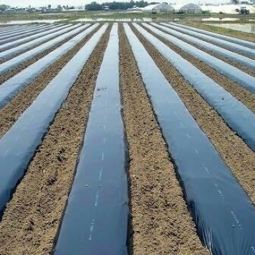 农资白色地膜保温保湿农用膜吹塑膜白地膜黑地膜果园蔬菜大棚