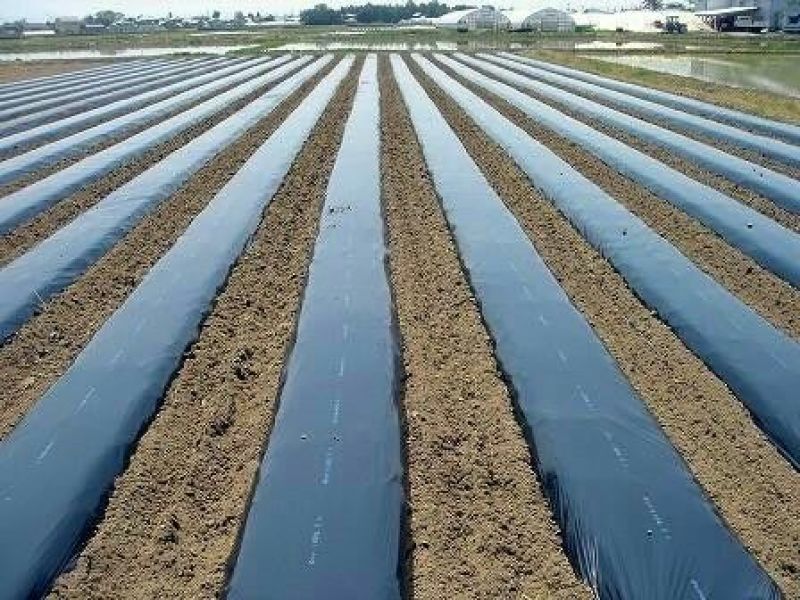农资白色地膜保温保湿农用膜吹塑膜白地膜黑地膜果园蔬菜大棚