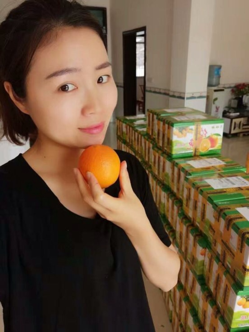 夏橙果子又大又甜看货采摘保质保量，欢迎咨询