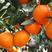 夏橙果子又大又甜看货采摘保质保量，欢迎咨询