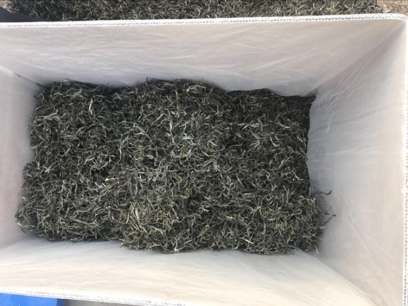普洱茶