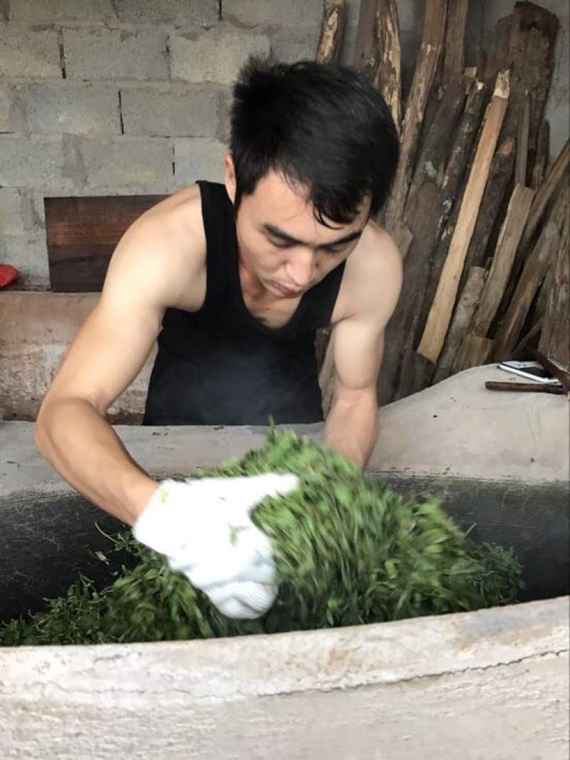 普洱茶