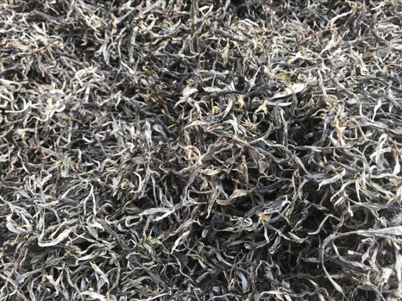 普洱茶