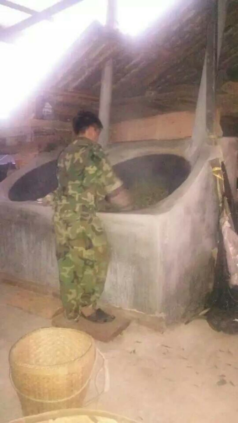 普洱茶勐海县