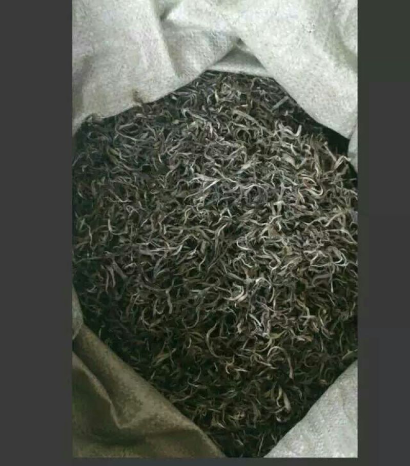 普洱茶勐海县