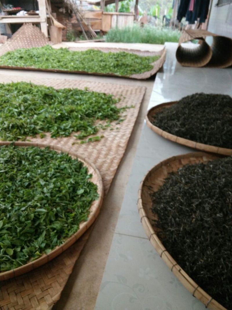 普洱茶勐海县