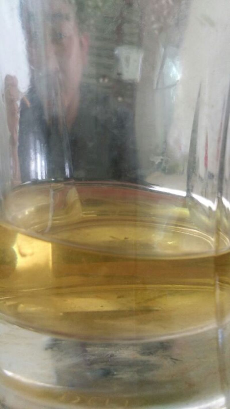 百年大树茶一级