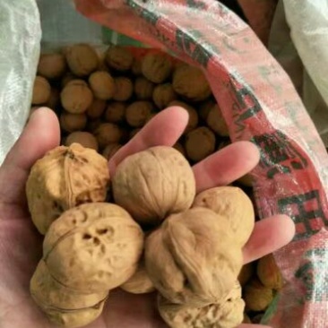 新疆核桃去皮干