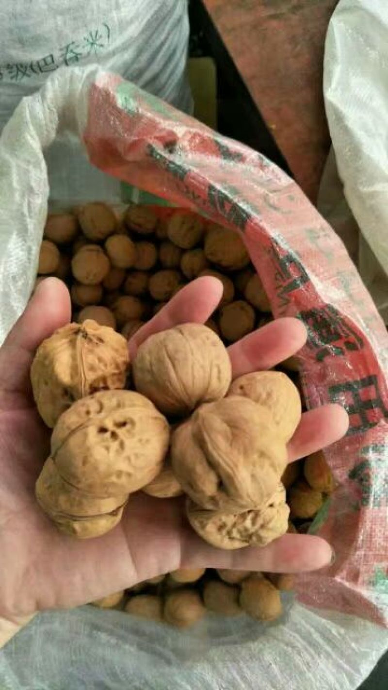 新疆核桃去皮干