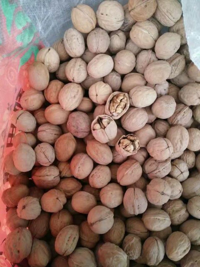 新疆核桃去皮干